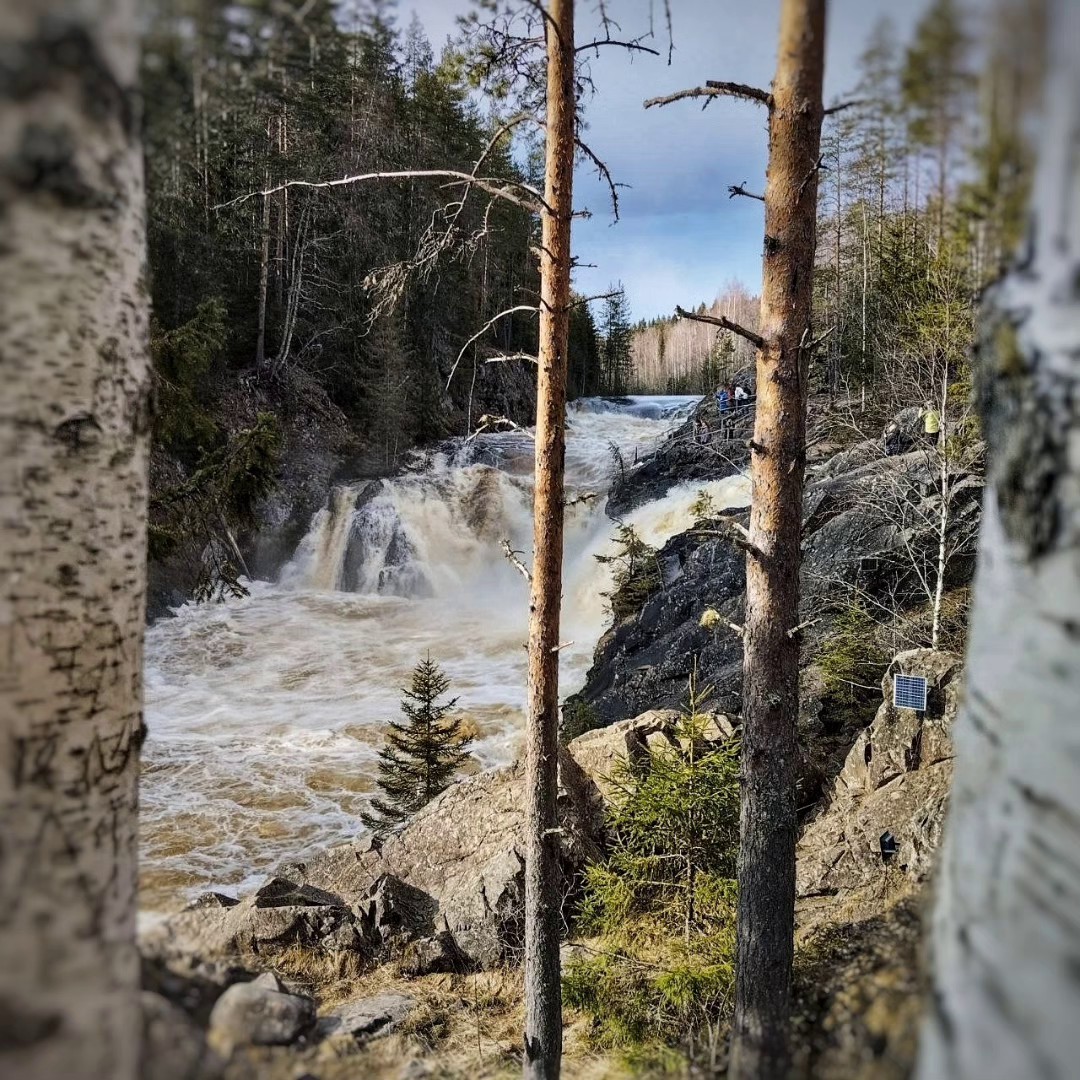 Водопад Кивач - равнинный водопад в Карелии