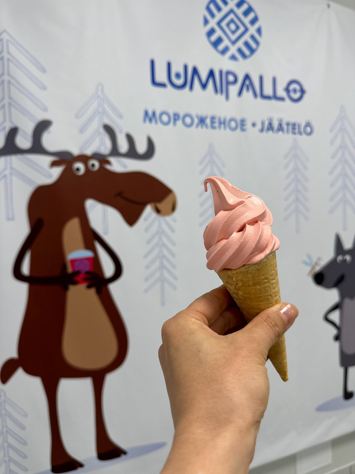 Экскурсия по Петрозаводску с посещением фабрики мороженого LUMIPALLO