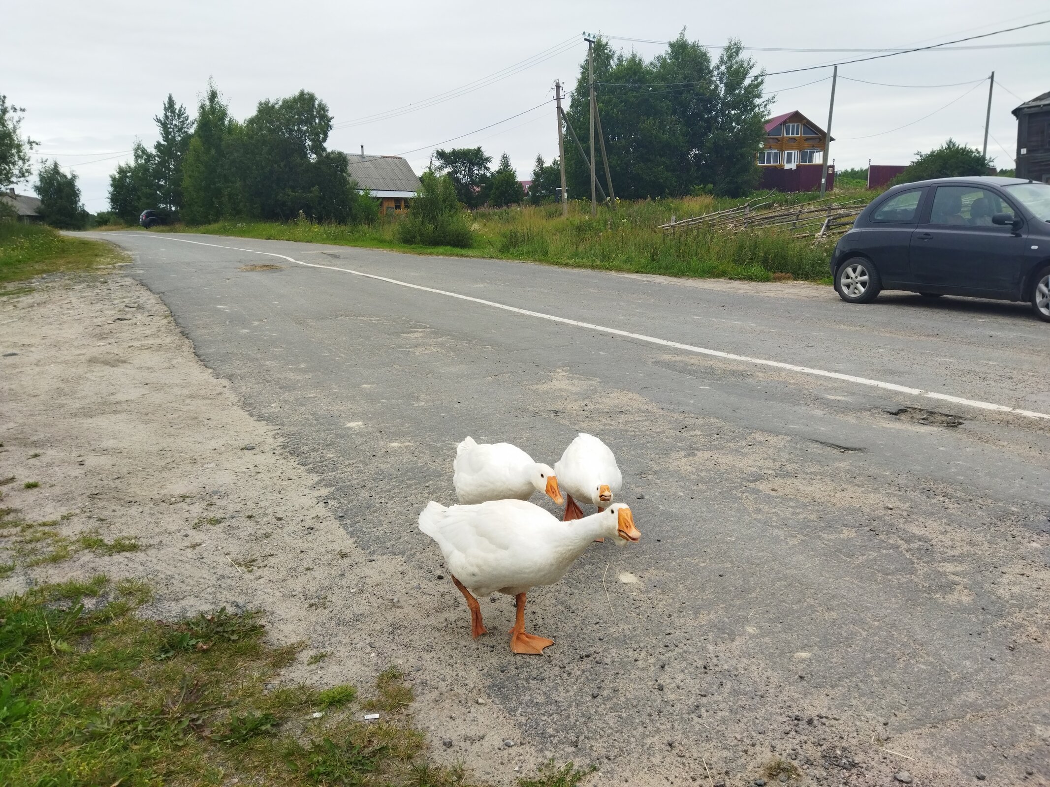 Деревня Педасельга экскурсия Шелтозеро карельская деревня