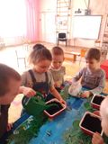 Поливаем наши посадки