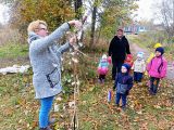 Знакомство детей с рогозом