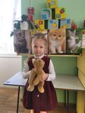 1.03 "Мой плюшевый кот"