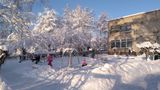 Зимняя прогулка