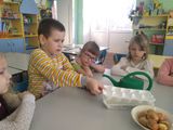 28.02. Подготовка "грядки"