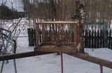 Поползень, снегирь и синица