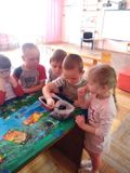 Подготовительная группа сажаем "Цветы памяти"