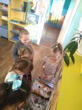 1.03 знакомство с книгами о кошках