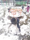 Первый снег