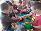 Подготовительная группа сажаем "Цветы памяти"