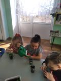 Апрель. Рассаживаем наши цветы