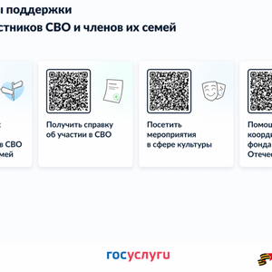 Сервисы поддержки для участников СВО и членов их семей