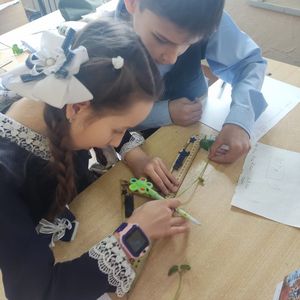В рамках фестиваля "Старт в профессию" ученики 9 "А" класса провели эксперимент "Влияние сенной палочки на скорость и качество прорастания фасоли".
