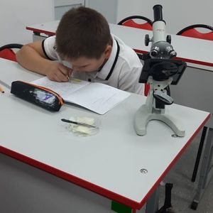 10 октября на уроке биологии пятиклассники провели лабораторную работу. Ребята изучили растительные клетки с помощью микроскопов центра Точка роста.