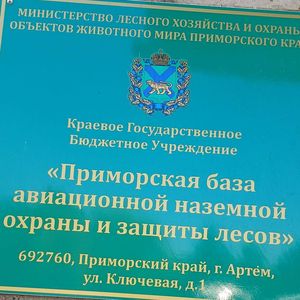 Наши юные агроклассники приняли участие в краевом проекте «Сохранение лесов в Приморском крае».