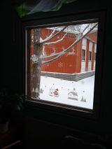 Большепаратская библиотека
