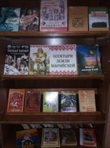 Обшиярская библиотека