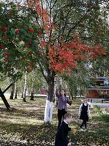 Центральная библиотека