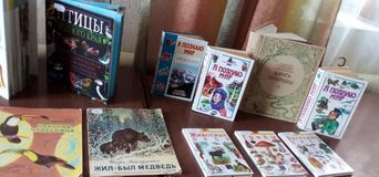 Эмековская библиотека