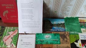 Эмековская библиотека