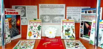 Березниковская библиотека