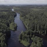 Долгожданная премьера: «Карелия лесная» – Часть 1!