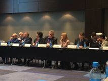 Президиум 30.01.2017 г.