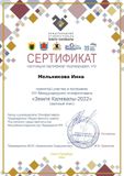 Сертификат участника Этнофестиваля