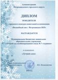 Диплом победителя городского конкурса "Волшебный свет. Петрозаводск-2025" (январь 2025)