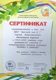 Сертификат участия детей в международном игровом конкурсе "Человек и природа" (январь 2020г.)