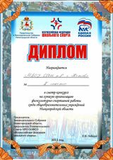 Диплом за 2 место в смотре-конкурсе на лучшую организацию физкультурно-спортивной работы среди общеобразовательных учреждений Нижегородской области