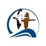 Встреча с сотрудником Кандалакшского заповедника