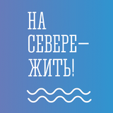 Акция «На севере – лето»