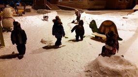 Группа "Коралловый риф"