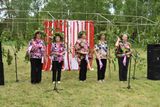 Праздник народных традиций на озере Селецкое: песни, танцы, мода и творчество