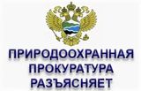 Межрайонная природоохранная прокуратура разъясняет