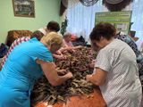 День полезных занятий и добрых дел