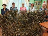 Вместе ради важного! Волонтёры Заволжского ЦСО трудятся и восстанавливаются