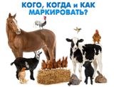 Памятка по маркированию и учету животных