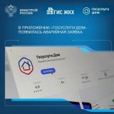 Новая функция в Госуслугах: вызов аварийной службы одним нажатием!