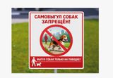 Опасность самовыгула: почему нельзя отпускать питомцев на улицу без присмотра