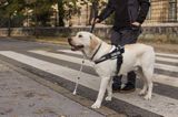 Важная информация для жителей Заволжского района: льготные выплаты защитили от списания приставами