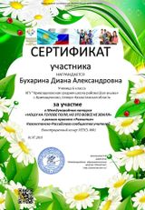 Сертификат участника