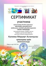 Сертификат участника