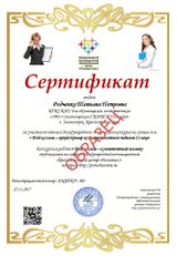 Образец Сертификата 1 Место «Мой коллега – яркий  пример компетентного педагога 21 века»