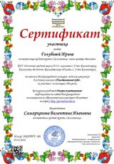 Образец Сертификата "Пластилиновое чудо"