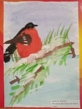 "Снегирь". Автор: Айтпай Абылай Руководитель: Жапарова Нургуль Мукановна Дата публикации: 04.02.2022