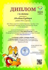 Образец Диплома педагогу