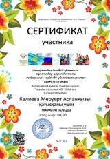 Сертификат участника