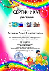Сертификат участника