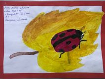 Қызыл қоңыз Автор; Байрам Альтайр  Жетекші;  Онжанова Арайлым Сайлаубаевна  Жарияланған күні:  27.01.2022